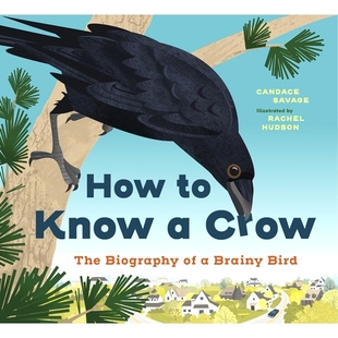 Know 传记 How Brainy Crow 如何认识乌鸦：一只聪明鸟 预订 The Bird Biography