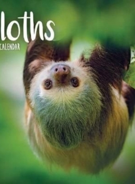 【预订】2023 Sloths Mini Calendar 9781529825664