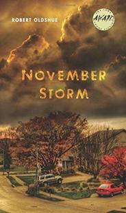 Storm November 9781609384517 预订