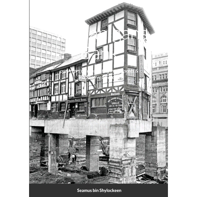 预订 Shenanigans Bank: purveyors of intoxicating investments & addictive opiates: 9781716297311