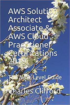 【预售】AWS Solution Architect Associate & AWS Cloud Practitioner Certifications 2019: The Next Level Guide