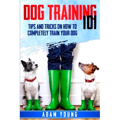 预订 Dog Training 101: Tips and Tricks on How to Completely Train Your Dog: 9781801641647