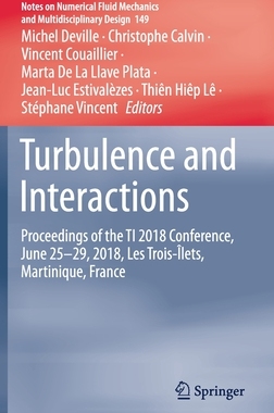 【预订】Turbulence and Interactions