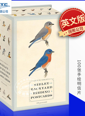 西布利后院观鸟 100张手绘明信片 英文原版 Sibley Backyard Birding Postcards: 100 Postcards