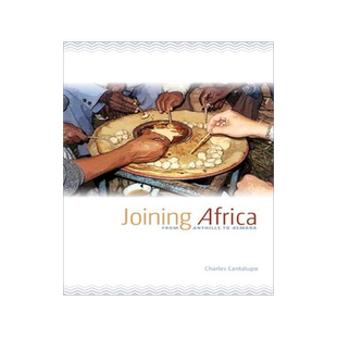 [预订]Joining Africa 9781611860368