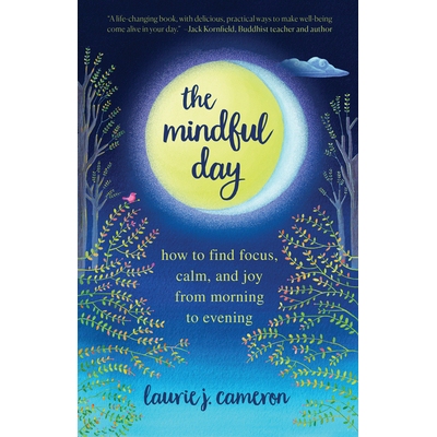 预订 The Mindful Day: Practical Ways to Find Focus, Build Energy, and Create Joy 24/7: 9781426220340