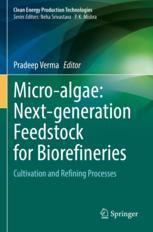 [预订]Micro-Algae: Next-Generation Feedstock for Biorefineries: Cultivation and Refining Processes 9789811907951