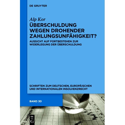 预订 Überschuldung wegen drohender Zahlungsunfähigkeit?: Aussicht auf Fortbestehen zur Widerlegung der Überschuldung