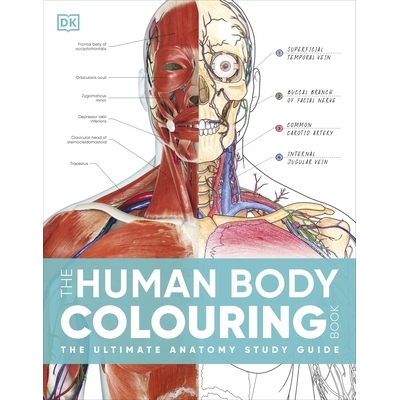 预订 The Human Body Colouring Book: The Ultimate Anatomy Study Guide 人体涂色书：*解剖学学习指南: 9780241664537