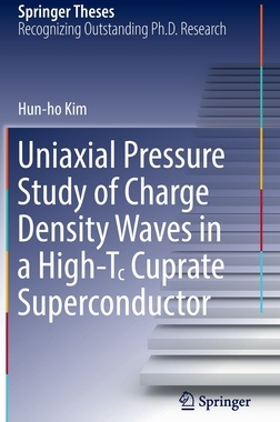 【预订】Uniaxial Pressure Study of Charge Density Waves in a High-Tc Cuprate 9783030998974