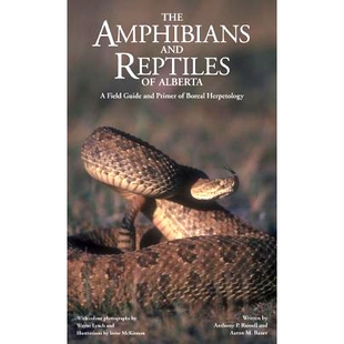 Field Amphibians Alberta 预订 Guide Herpetology Reptiles Boreal and 9781552380383 Primer