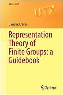 Theory Finite Groups Guidebook 预订 Representation
