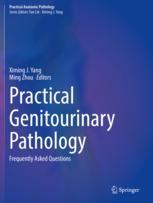 [预订]Practical Genitourinary Pathology 9783030571436