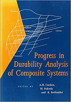 【预售】Progress in Durability Analysis of Composite Systems