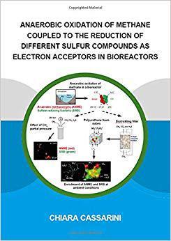 【预售】Anaerobic Oxidation of Methane Coupled to the Reduction of Different Sulfur Compounds as Electron Acceptor...
