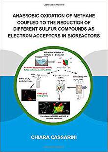 【预售】Anaerobic Oxidation of Methane Coupled to the Reduction of Different Sulfur Compounds as Electron Acceptor...
