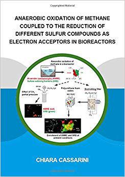 【预售】Anaerobic Oxidation of Methane Coupled to the Reduction of Different Sulfur Compounds as Electron Acceptor...