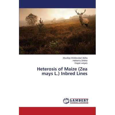 预订 Heterosis of Maize (Zea Mays L.) Inbred Lines: 9783659529436