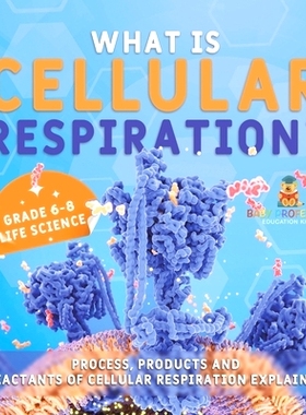 预订 What is Cellular Respiration? Process, Products and Reactants of Cellular Respiration Explained Grade 6-8 Life Scie