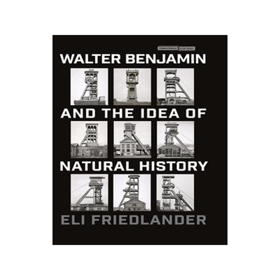 [预订]Walter Benjamin and the Idea of Natural History 9781503636552