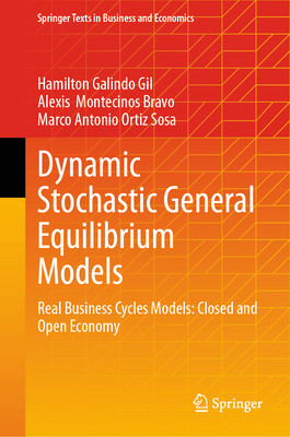 现货 Dynamic Stochastic General Equilibrium Models