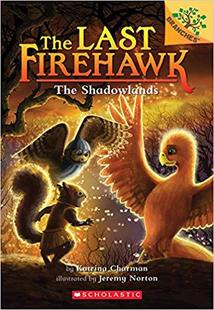 预订 The Firehawk Shadowlands Last