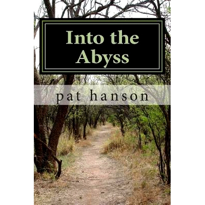 预订 Into the Abyss: abuse of the mentally ill: 9781490594316