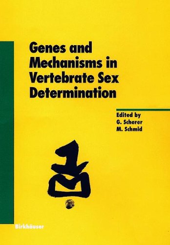 国外库房发货,通常付款后5-8周到货!