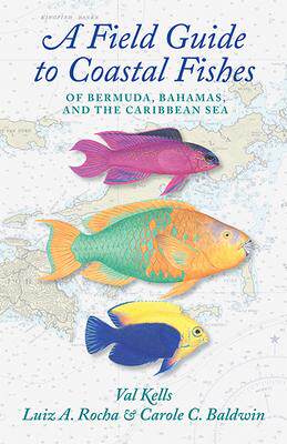 [预订]A Field Guide to Coastal Fishes of Bermuda, Bahamas, and the Caribbean Sea 9781421444680