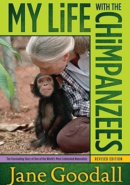 现货 英文原版 珍妮·古道尔 和黑猩猩在一起 My Life with the Chimpanzees by Jane Goodall