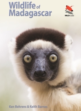 预售 Wildlife of Madagascar