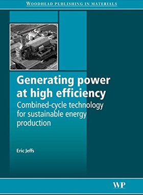 【预订】Generating Power at High Efficiency