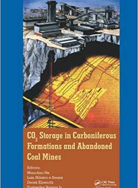【预售】CO2 Storage in Carboniferous Formations and Abandoned Coal Mines