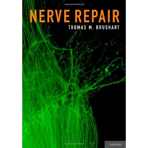 预订 Nerve Repair 神经修复 9780195169904