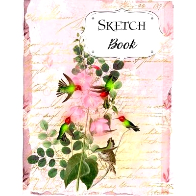 预订 Sketch Book: Bird Sketchbook Scetchpad for Drawing or Doodling Notebook Pad for Creative Artists #5 Pink Floral Flo