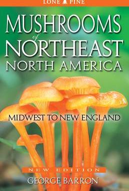 [预订]Mushrooms of Northeast North America 9781772130003