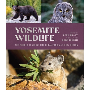 预订 Yosemite Wildlife: The Wonder of Animal Life in California’s Sierra Nevada: 9781951179267