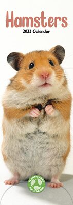 【预订】Hamsters 2023 Slim Calendar 9781839419003