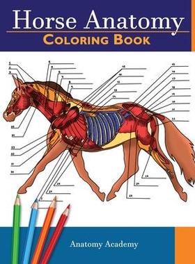 [预订]Horse Anatomy Coloring Book: Incredibly Detailed Self-Test Equine Anatomy Color workbook Perfect Gif 9781914207068