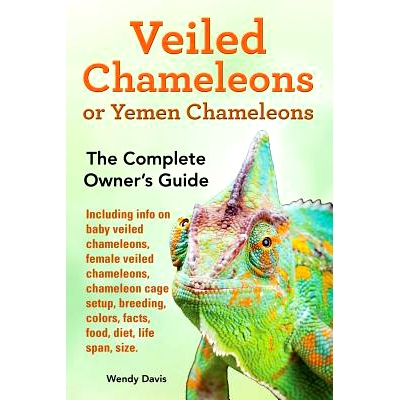 预订 Veiled Chameleons or Yemen Chameleons as pets. info on baby veiled chameleons, female veiled chameleons, chameleon