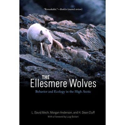 预订 The Ellesmere Wolves: Behavior and Ecology in the High Arctic 冰原狼群行为与生态:埃尔斯梅瑞之书: 9780226833729