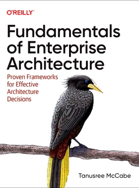 预订 Fundamentals of Enterprise Architecture: Proven Frameworks for Effective Architecture Decisions 企业架构基础：有效