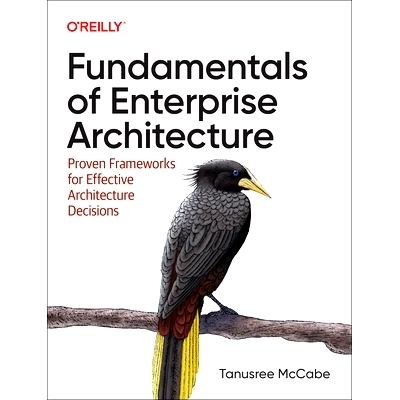 预订 Fundamentals of Enterprise Architecture: Proven Frameworks for Effective Architecture Decisions 企业架构基础：有效