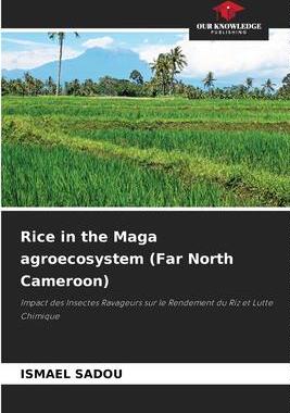 [预订]Rice in the Maga agroecosystem (Far North Cameroon) 9786205664636