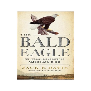 [预订]The Bald Eagle: The Improbable Journey of  America’s Bird 9781631495250