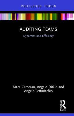 预订 Auditing Teams