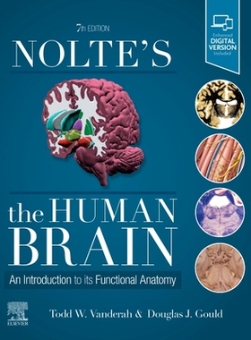 预售 Nolte’s the Human Brain