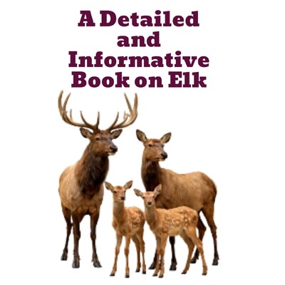 预订 A Detailed and Informative Book on Elk 9798247182634