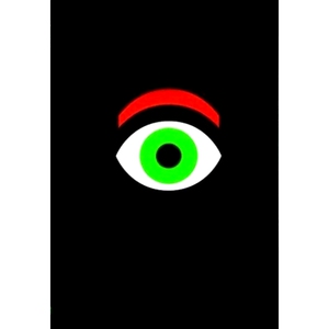 预订 Paul Rand: A Designer’S Eye 保罗·兰德：设计师的眼睛: 9780990917427