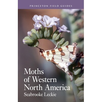 预订 Moths of Western North America 北美西部蛾类图鉴：从墨西哥边境到加拿大草原的1900种 9780691232881